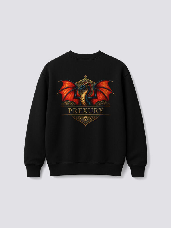 unisex oversized hoodie